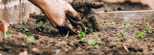 Gardening